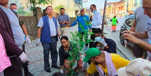 हरियाली प्रवर्द्धनका लागि बिरुवा उत्पादन गर्दै भरतपुर महानगर