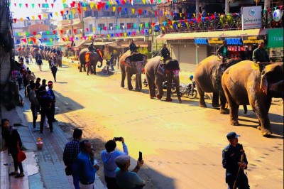 हात्ती सुन्दरी प्रतियोगितामा सात हात्तीको प्रतिष्पर्धा