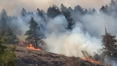 वायु प्रदूषण यस वर्षकै उच्च, डढेलो नियन्त्रण नभए अझै बढ्ने