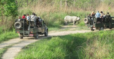 असार १६ गतेदेखि चितवन निकुञ्जमा सफारी बन्द हुने