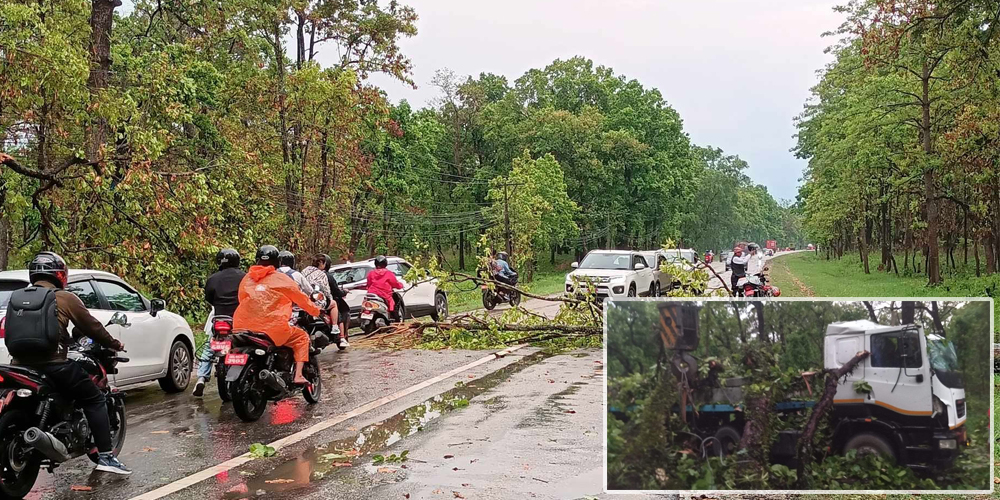 चितवनमा भिषण हावाहुरी, एक जना घाइते, दर्जनौं पोल ढल्दा विद्युत अवरुद्ध