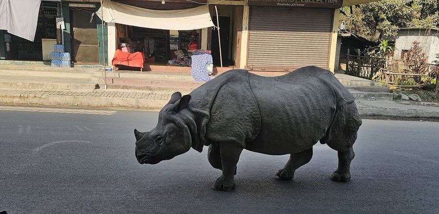 चितवनको 'मेघौली' कोशीटप्पुमा